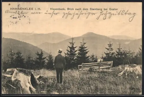 AK Hahnenklee i. H., Hexenbank, Blick nach dem Steinberg