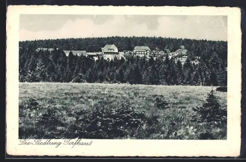 AK Torfhaus /Harz, Blick auf die Siedlung
