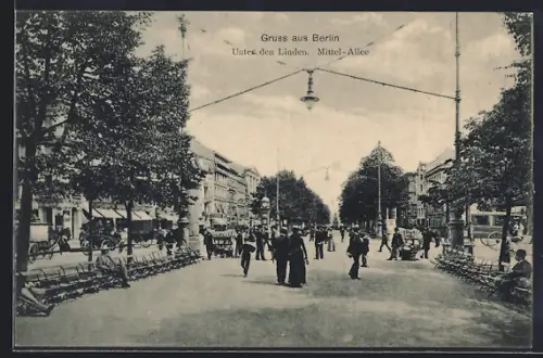 AK Berlin, Partie der Mittel-Allee Unter den Linden