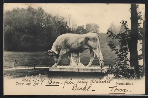 AK Berlin-Wedding, Ochsenstatue im Humboldthain