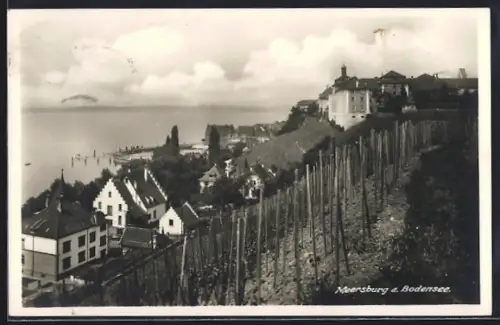 AK Meersburg am Bodensee, Totalansicht mit Seeblick