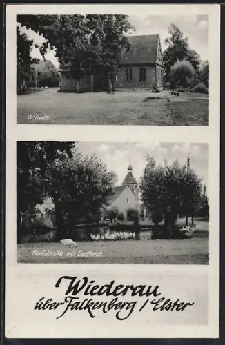 AK Wiederau /Elster, Dorfstrasse mit Dorfteich, Die Schule