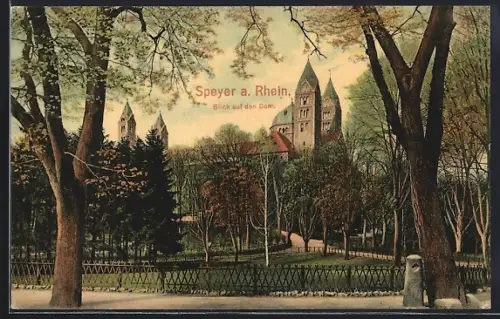 AK Speyer a. Rhein, Blick af den Dom
