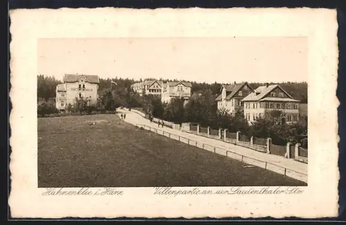 AK Hahnenklee i. Harz, Villenpartie an der Lautenthaler Strasse