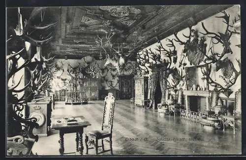 AK Erbach i. O., Schloss, Hirschgalerie