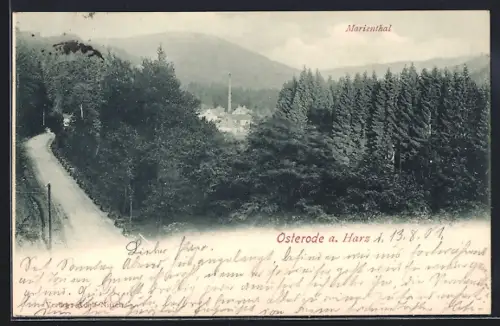 AK Osterode a. Harz, Marienthal mit Strassenpartie