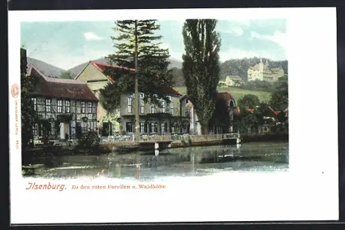 AK Ilsenburg / Harz, Hotel Zu den roten Forellen und Waldhöhe