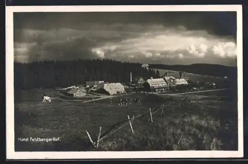 AK Feldberg i. Schwarzwald, Hotel Feldberger Hof