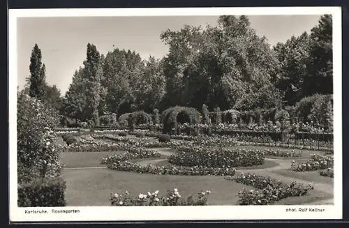 AK Karlsruhe, Stadtgarten: Rosengarten