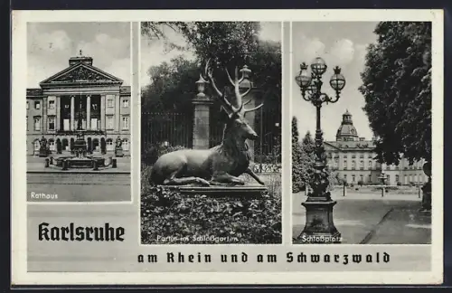 AK Karlsruhe am Rhein, Rathaus, Hirsch im Schlossgarten, Schlossplatz