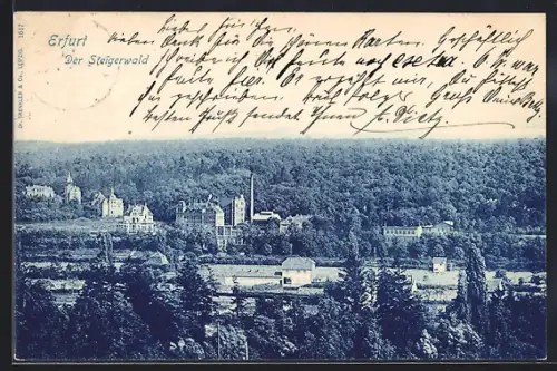AK Erfurt, Ortspartie mit Steigerwald