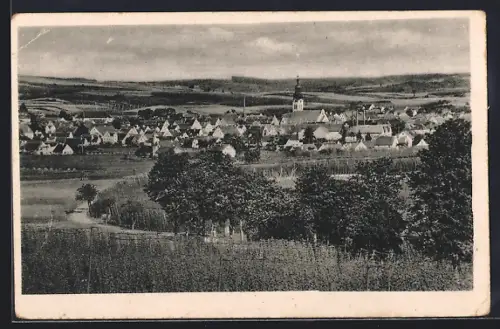 AK Wolnzach, Gesamtansicht mit Feldweg und Wäldchen