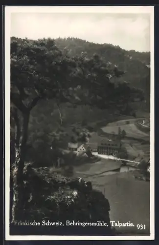 AK Behringersmühle /Fränk. Schweiz, Blick in das Tal