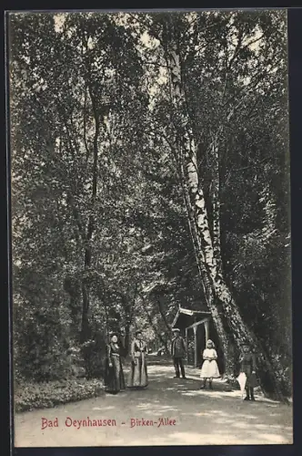 AK Bad Oeynhausen, Birken-Allee im Sommer