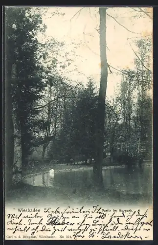 AK Wiesbaden, Partie im Kurpark