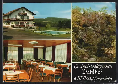 AK Miltach /Bayer. Wald, Gasthof und Waldpension Pfahlhof, Inh. Joh. Blasini