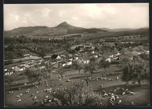 AK Hechingen, Partie am Schlossberg mit Blick zur Burg Hohenzollern