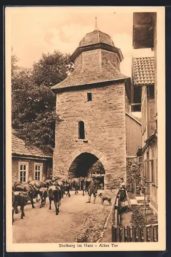 AK Stolberg / Harz, Partie am alten Tor
