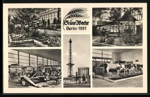 AK Berlin, Grüne Woche 1951, Funkturm, Innenansicht