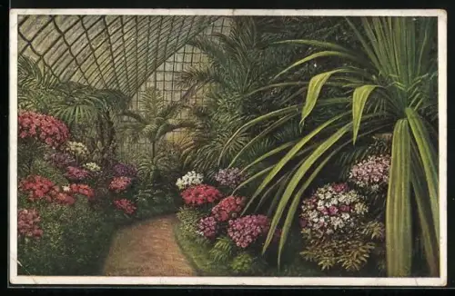 AK Wien, Azaleen-Ausstellung im Palmenhaus Schönbrunn