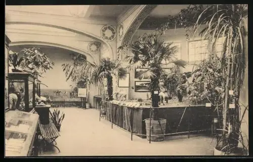AK Gand, Exposition Universelle de Gand 1913, Capture d`éléphants sauvages