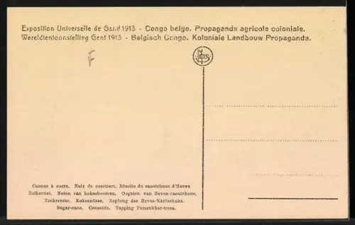 AK Gand, Exposition Universelle de Gand 1913, Cannes à sucre, Noix de cocotiers