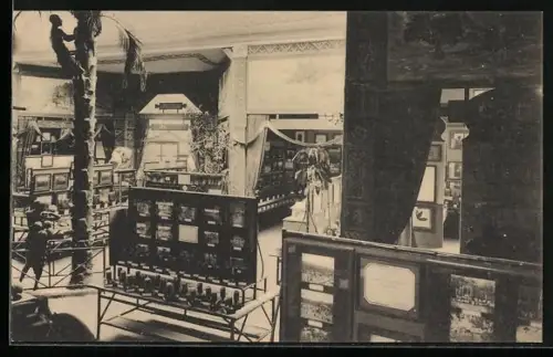 AK Gand, Exposition Universelle de Gand 1913, La récolte des noix de palme