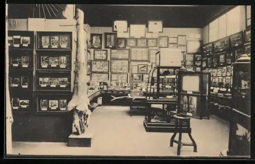 AK Gand, Exposition Universelle de Gand 1913, L`histoire du caoutchouc