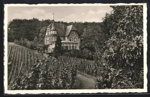 AK Alf-Bullay a. d. Mosel, Blick zur Gaststätte Waldfrieden, Bes. Paul Enkirch
