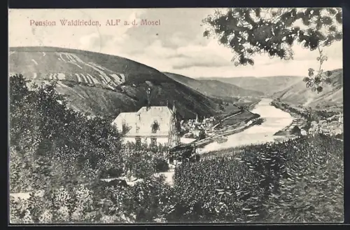 AK Alf / Mosel, Hotel-Pension Waldfrieden, Moselpartie aus der Vogelschau