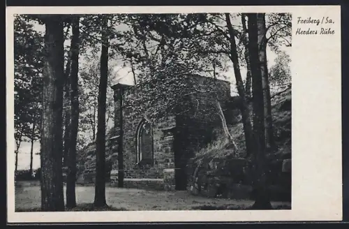 AK Freiberg /Sa., Herders Rühe