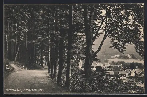 AK Herrenalb, Predigerweg mit Blick auf den Ort