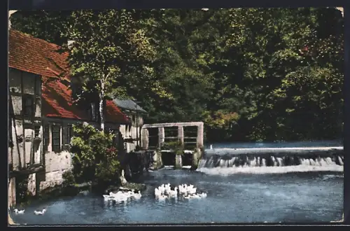AK Blaubeuren, Blautopf