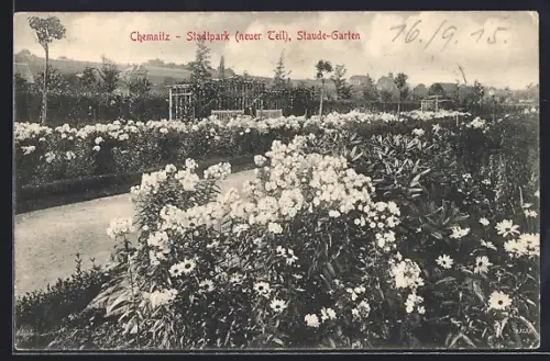 AK Chemnitz, Stadtpark neuer Teil, Staude-Garten