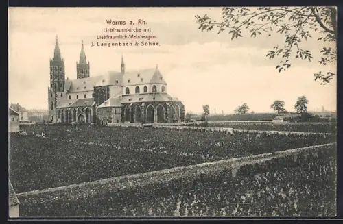 AK Worms, Liebfrauenkirche mit Liebfraumilch-Weinberge