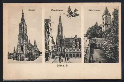 AK Ulm a. D., Münster, Metzgerturm, Hirschstrasse mit Schwalbe