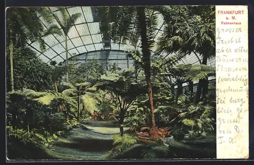 AK Frankfurt-Westend, Im Palmenhaus