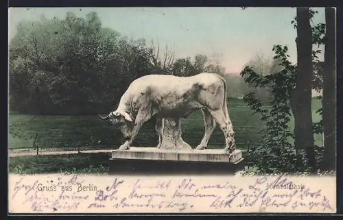 AK Berlin-Wedding, Stier im Humboldthain