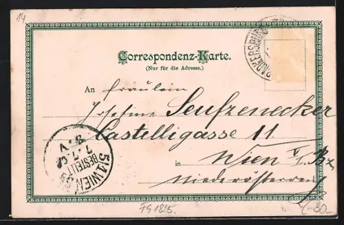 AK Radkersburg /Steiermark, Idyllisches Ortspanorama