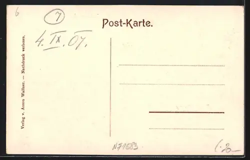 AK St. Johann bei Herberstein, Hirschfütterung, Weg im Wald