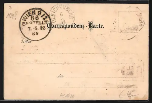 Lithographie Gleichenberg, Ortsansicht aus der Vogelschau, Passepartout mit Blumenstrauss