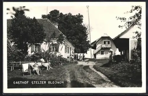 AK Wolfsberg bei Wildon, Gasthof Stelzer Glojach, Bes. Franz Schmidt