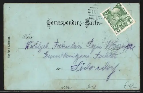 Mondschein-AK Riegersburg /Steiermark, Schlosshof, Schlossbrunnen, Ortsansicht mit Schloss