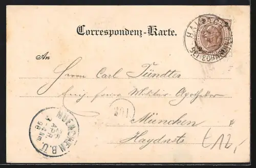 AK Haibach, Gasthaus zur Mauth, Teilansicht der Ortschaft