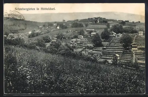AK Hütteldorf, Schrebergärten vom Berghang aus gesehen