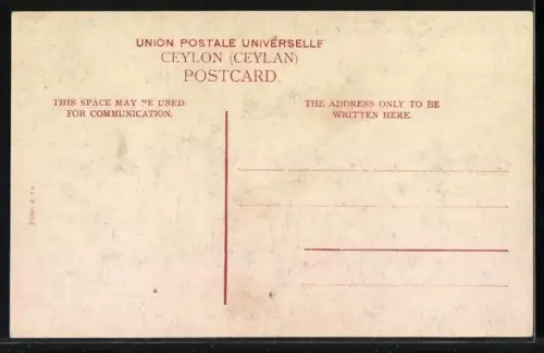 AK Anuradhapura, The Ruined City