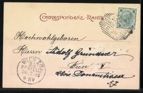 AK Marbach a. d. Donau, Fähre, fliegende Brücke, Wallfahrtskirche Maria Taferl