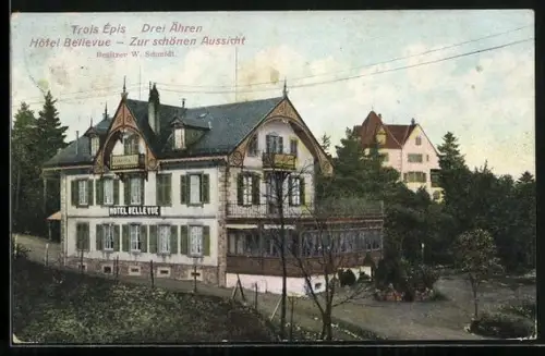 AK Trois Épis, Hotel Bellevue