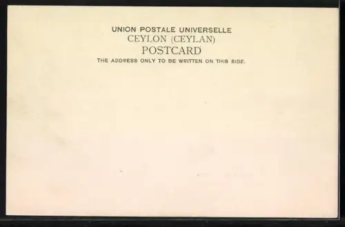 AK Colombo, Road To Mount Lavinia