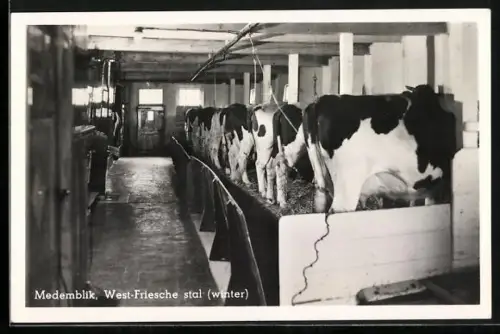 AK Medemblik, West-Friesche stal, winter